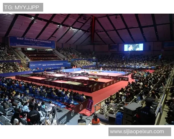 重庆乒乓球队全国锦标赛崛起之路与辉煌成就的深度解析