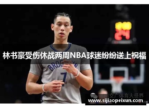 林书豪受伤休战两周NBA球迷纷纷送上祝福