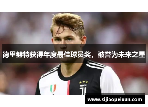 德里赫特获得年度最佳球员奖，被誉为未来之星